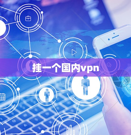 挂一个国内vpn