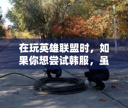 在玩英雄联盟时，如果你想尝试韩服，虽然VPN可能是一个直观的选择，但也有其他更安全和方便的方式。以下是详细的步骤和建议
