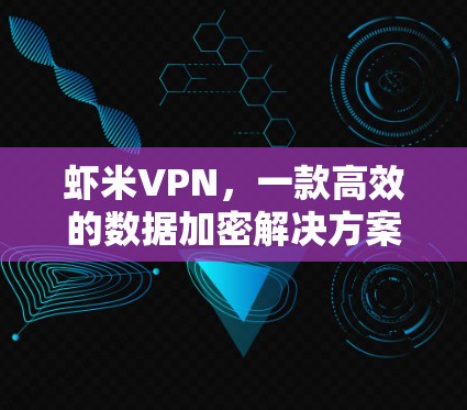 虾米VPN，一款高效的数据加密解决方案