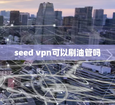 seed vpn可以刷油管吗 seed vpn可以刷油管吗