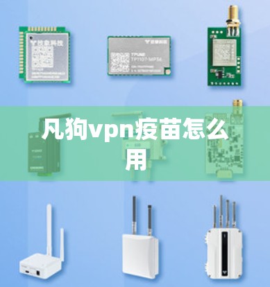 凡狗vpn疫苗怎么用 凡狗vpn疫苗怎么用