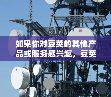 如果你对豆荚的其他产品或服务感兴趣，豆荚提供了多种服务，包括
