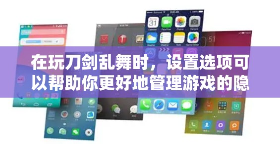 在玩刀剑乱舞时，设置选项可以帮助你更好地管理游戏的隐私和角色设置。以下是对这些设置选项的详细解释和操作步骤