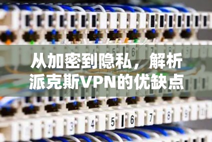 从加密到隐私，解析派克斯VPN的优缺点