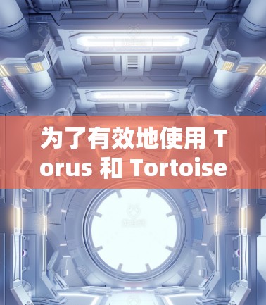 为了有效地使用 Torus 和 Tortoise 加速软件加速VPN服务器，您可以按照以下步骤进行