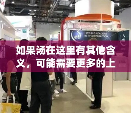 如果汤在这里有其他含义，可能需要更多的上下文来解释。如果您能提供更多的信息或 clarify一下问题，我可能会更好地帮助您！
