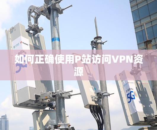 如何正确使用P站访问VPN资源