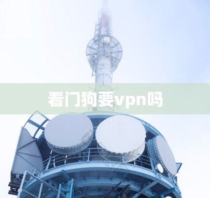 看门狗要vpn吗