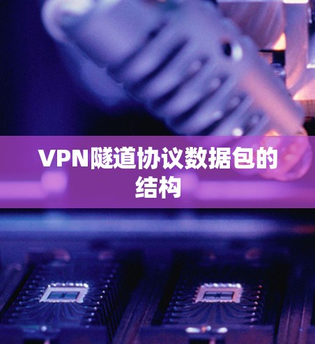 VPN隧道协议数据包的结构