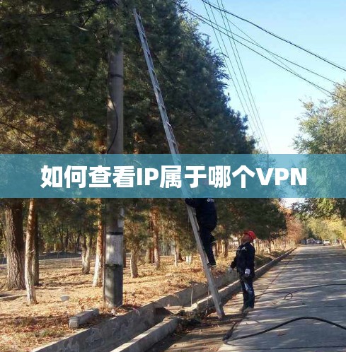 如何查看IP属于哪个VPN