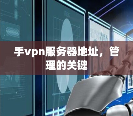 手vpn服务器地址，管理的关键