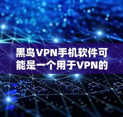黑鸟VPN手机软件可能是一个用于VPN的软件，而不是专门保护手机数据的安全软件。以下是对该软件的详细分析