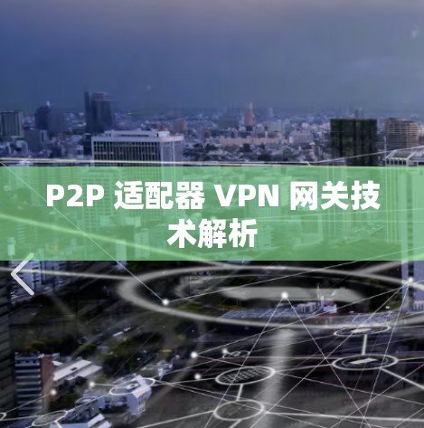 P2P 适配器 VPN 网关技术解析