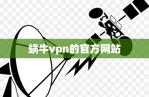 蜗牛vpn的官方网站