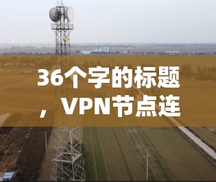 36个字的标题，VPN节点连接质量评估报告