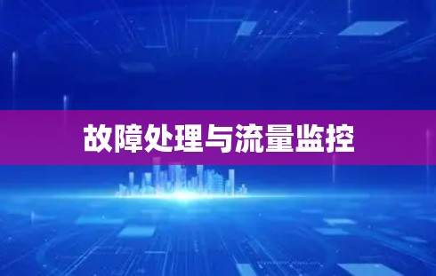 故障处理与流量监控