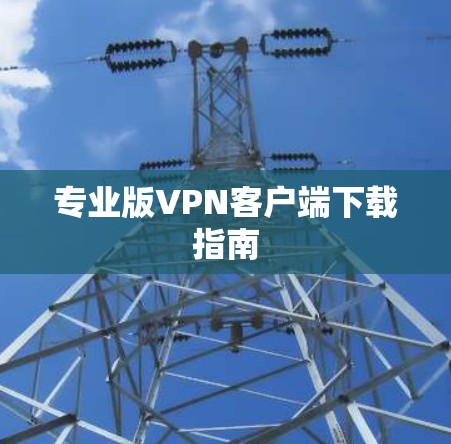 专业版VPN客户端下载指南