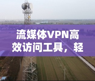 流媒体VPN高效访问工具,轻松享受流媒体 流媒体VPN高效访问工具,轻松享受流媒体