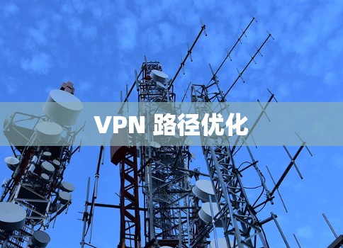 VPN 路径优化