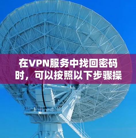 在VPN服务中找回密码时，可以按照以下步骤操作