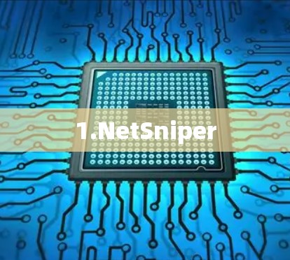 1.NetSniper