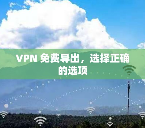 VPN 免费导出，选择正确的选项