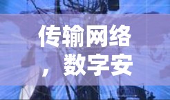 传输网络，数字安全与用户友好
