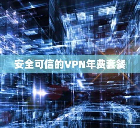 安全可信的VPN年费套餐 安全可信的VPN年费套餐