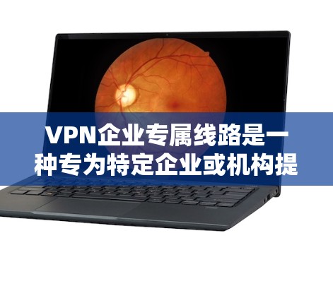 VPN企业专属线路是一种专为特定企业或机构提供的VPN服务，旨在为用户提供安全、便捷的网络访问体验。以下是对这些 VPN 连接的详细分析