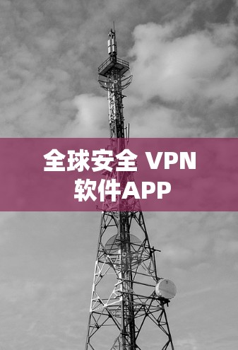 全球安全 VPN 软件APP