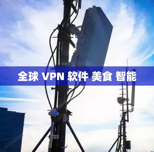 全球 VPN 软件 美食 智能
