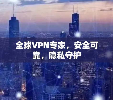 全球VPN专家，安全可靠，隐私守护